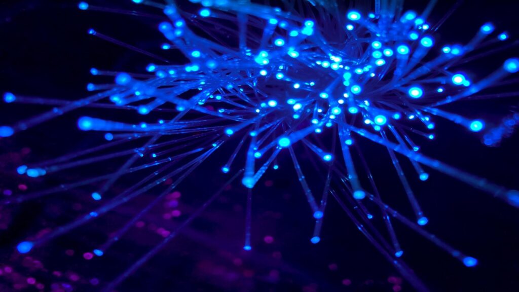 El futuro de los pagos en crypto será sin rampas ni puentes, ¡dice CEO divertido y loco!