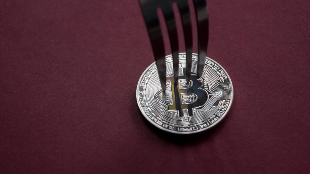 ¡Cuidado! Los holders de Bitcoin podrían perder sus BTC verdaderos si venden monedas del fork BIP