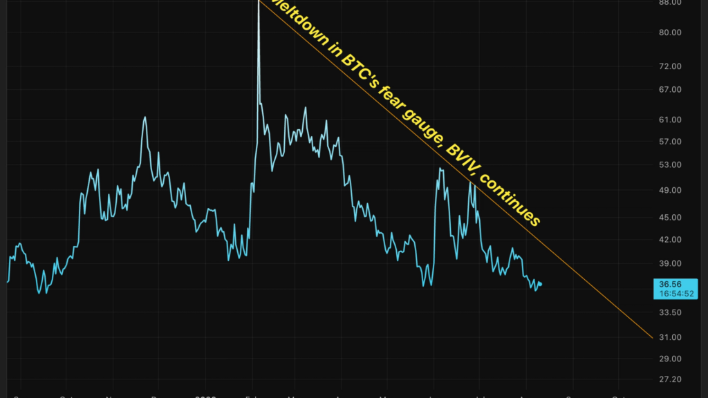 ¡Locura en la volatilidad de Bitcoin! ¿Por qué protegerse aún cuesta un dineral?